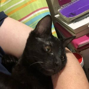 Meet your Posher, Tina